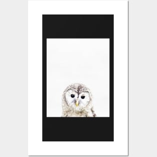 Baby owl, Nursery, Owl, Animal, Kids room, Modern art, Wall decor Posters and Art